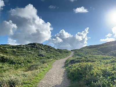 haus_wega_sylt_0000