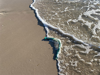 haus_wega_sylt_0004