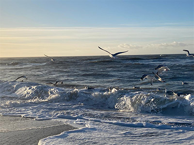 haus_wega_sylt_0005