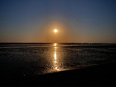 haus_wega_sylt_11